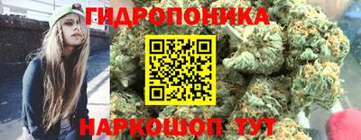гашик Ачхой-Мартан