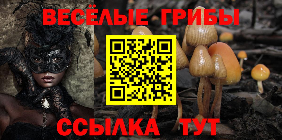 Гудермес  Галлюциногенные грибы GOLDEN TEACHER  даркнет сайт  Вход с VPN 