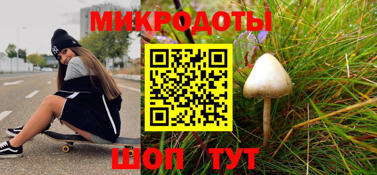 Псилоцибиновые грибы прущие грибы Гудермес